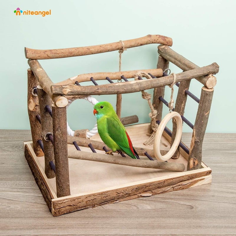 Niteangel Natural Living Playground for Birds, Bird Activity Center - Image 2